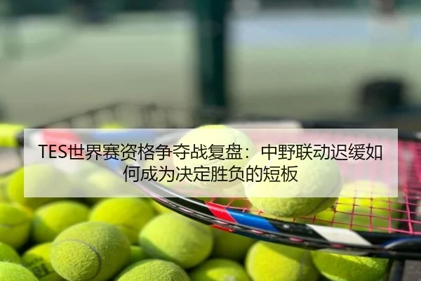 TES世界赛资格争夺战复盘：中野联动迟缓如何成为决定胜负的短板