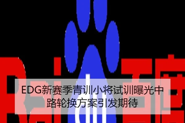 EDG新赛季青训小将试训曝光中路轮换方案引发期待